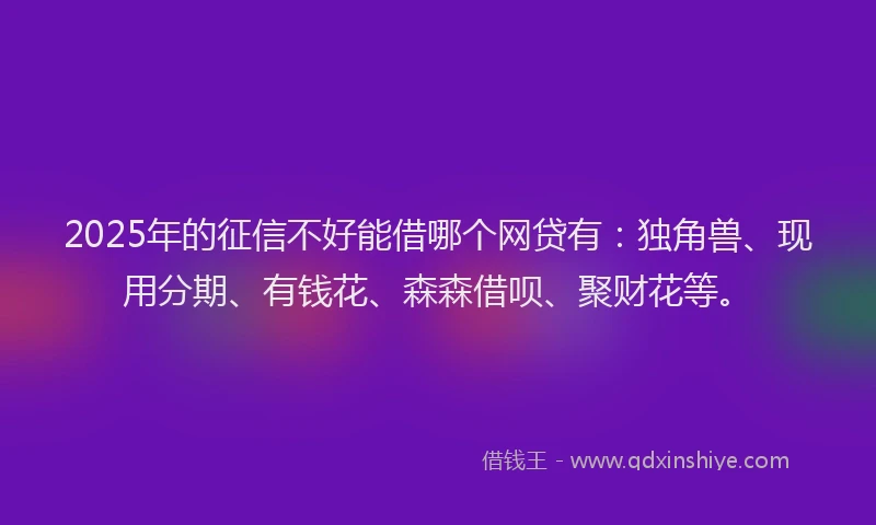 2025年的征信不好能借哪个网贷有：独角兽、现用分期、有钱花、森森借呗、聚财花等。