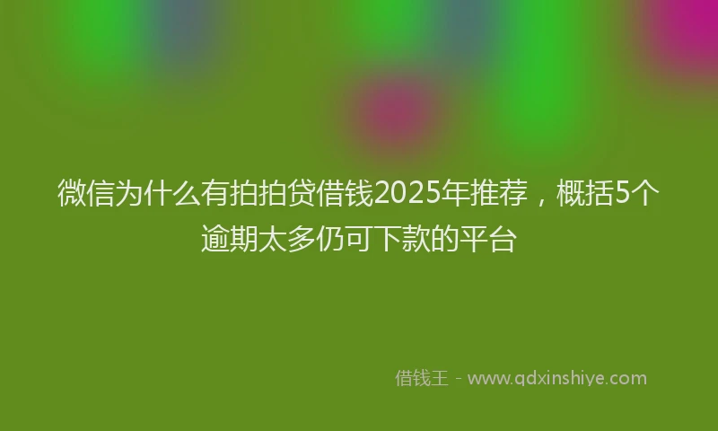 微信为什么有拍拍贷借钱2025年推荐，概括5个逾期太多仍可下款的平台