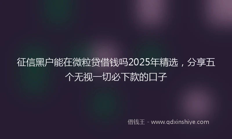 征信黑户能在微粒贷借钱吗2025年精选，分享五个无视一切必下款的口子