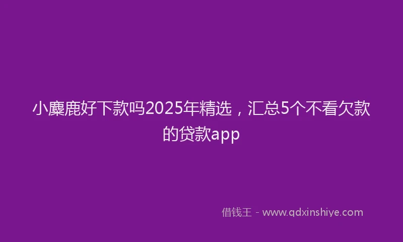 小麋鹿好下款吗2025年精选，汇总5个不看欠款的贷款app