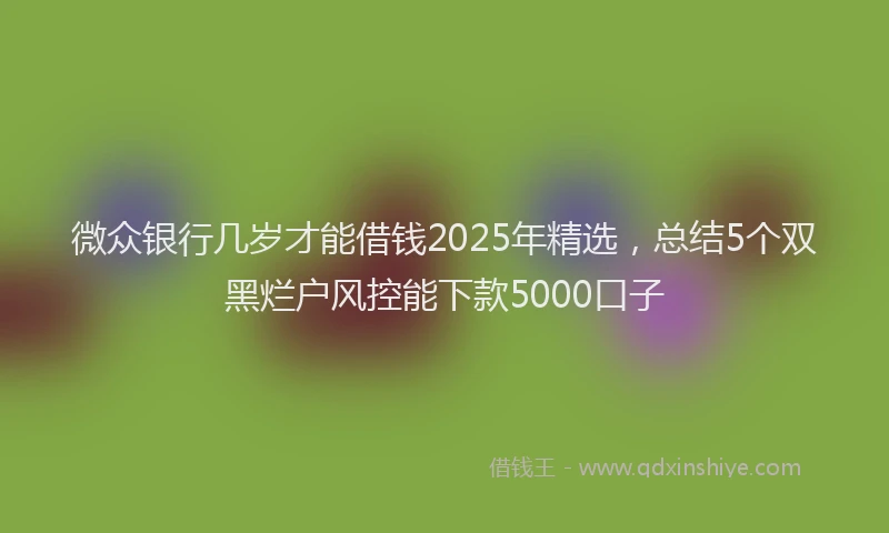 微众银行几岁才能借钱2025年精选，总结5个双黑烂户风控能下款5000口子