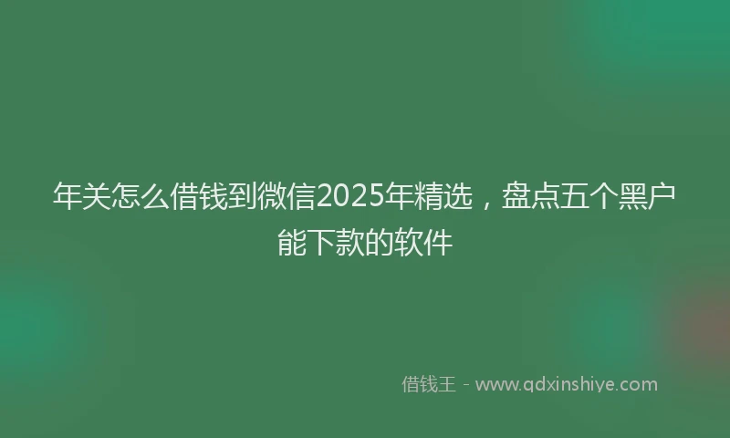年关怎么借钱到微信2025年精选，盘点五个黑户能下款的软件