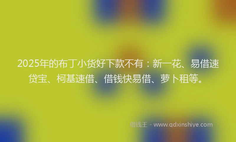 2025年的布丁小货好下款不有：新一花、易借速贷宝、柯基速借、借钱快易借、萝卜租等。
