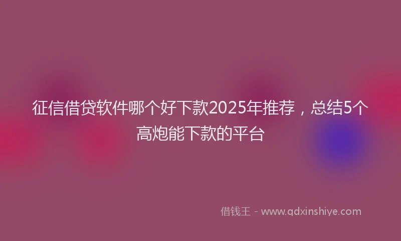 征信借贷软件哪个好下款2025年推荐，总结5个高炮能下款的平台