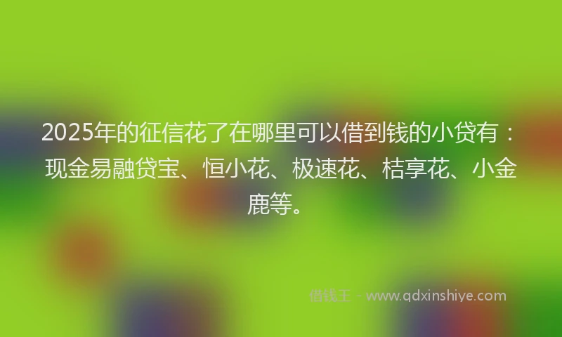 2025年的征信花了在哪里可以借到钱的小贷有：现金易融贷宝、恒小花、极速花、桔享花、小金鹿等。