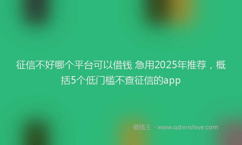 征信不好哪个平台可以借钱 急用2025年推荐，概括5个低门槛不查征信的app