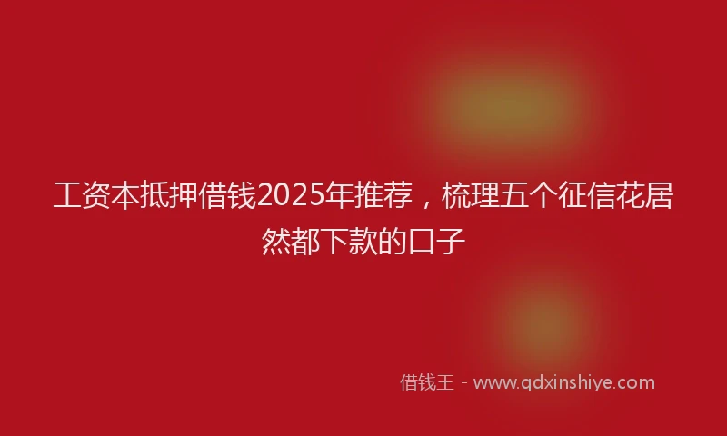 工资本抵押借钱2025年推荐，梳理五个征信花居然都下款的口子