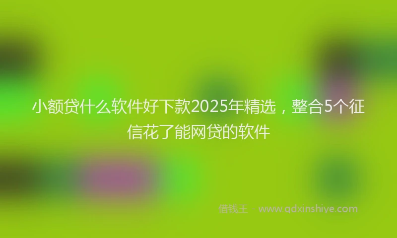 小额贷什么软件好下款2025年精选，整合5个征信花了能网贷的软件