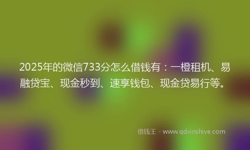 2025年的微信733分怎么借钱有：一橙租机、易融贷宝、现金秒到、速享钱包、现金贷易行等。