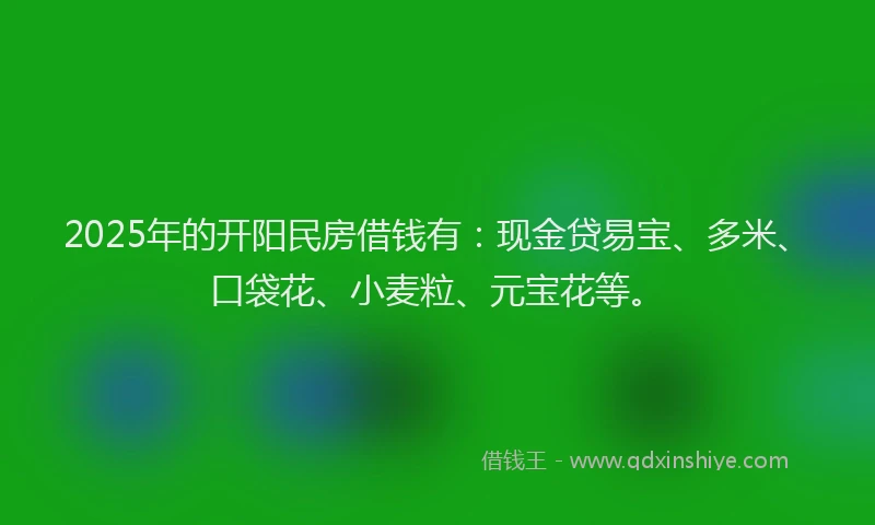 2025年的开阳民房借钱有：现金贷易宝、多米、口袋花、小麦粒、元宝花等。