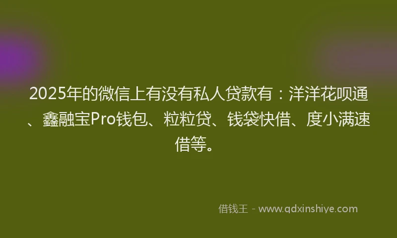 2025年的微信上有没有私人贷款有：洋洋花呗通、鑫融宝Pro钱包、粒粒贷、钱袋快借、度小满速借等。