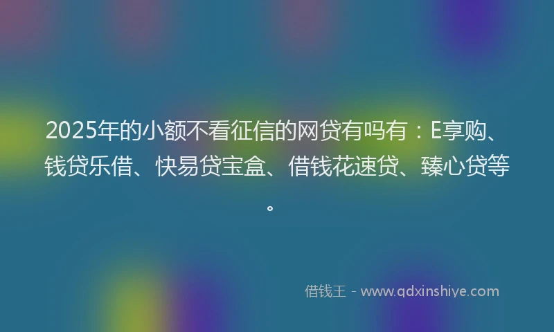 2025年的小额不看征信的网贷有吗有：E享购、钱贷乐借、快易贷宝盒、借钱花速贷、臻心贷等。