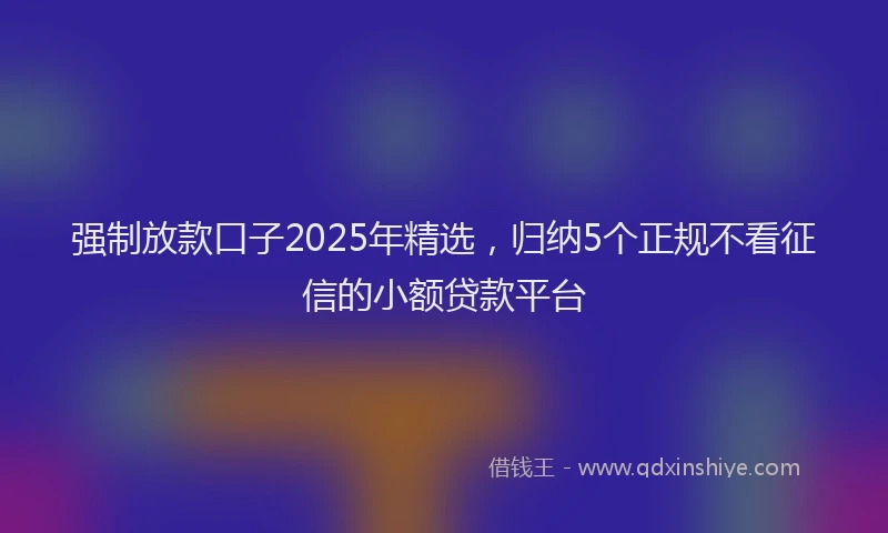 强制放款口子2025年精选，归纳5个正规不看征信的小额贷款平台