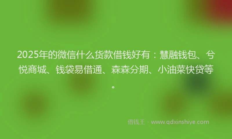 2025年的微信什么货款借钱好有：慧融钱包、兮悦商城、钱袋易借通、森森分期、小油菜快贷等。