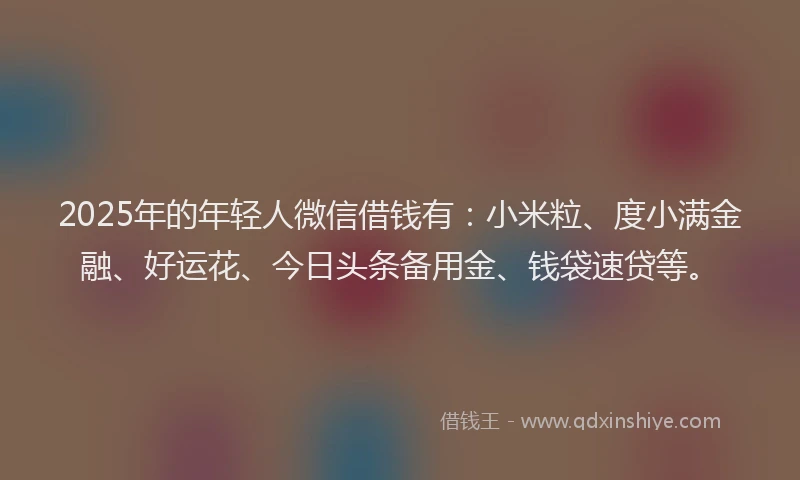 2025年的年轻人微信借钱有：小米粒、度小满金融、好运花、今日头条备用金、钱袋速贷等。