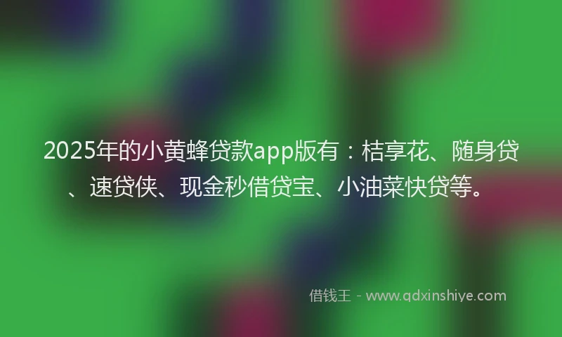 2025年的小黄蜂贷款app版有：桔享花、随身贷、速贷侠、现金秒借贷宝、小油菜快贷等。