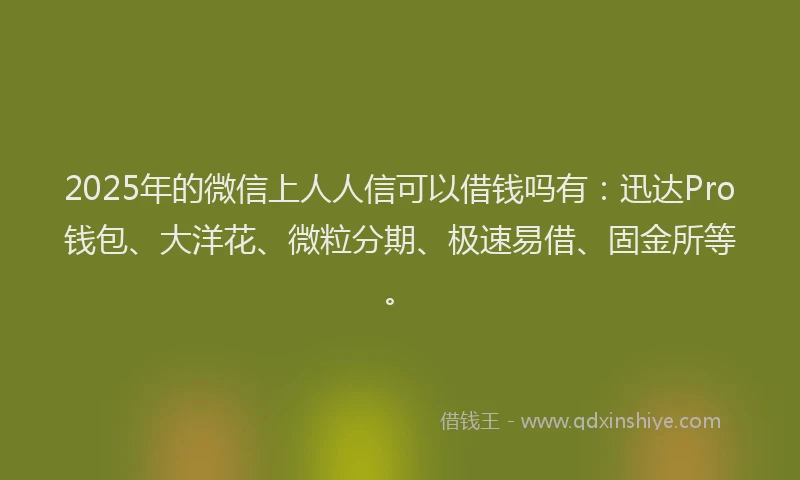 2025年的微信上人人信可以借钱吗有：迅达Pro钱包、大洋花、微粒分期、极速易借、固金所等。