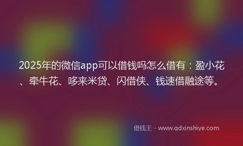 2025年的微信app可以借钱吗怎么借有：盈小花、牵牛花、哆来米贷、闪借侠、钱速借融途等。
