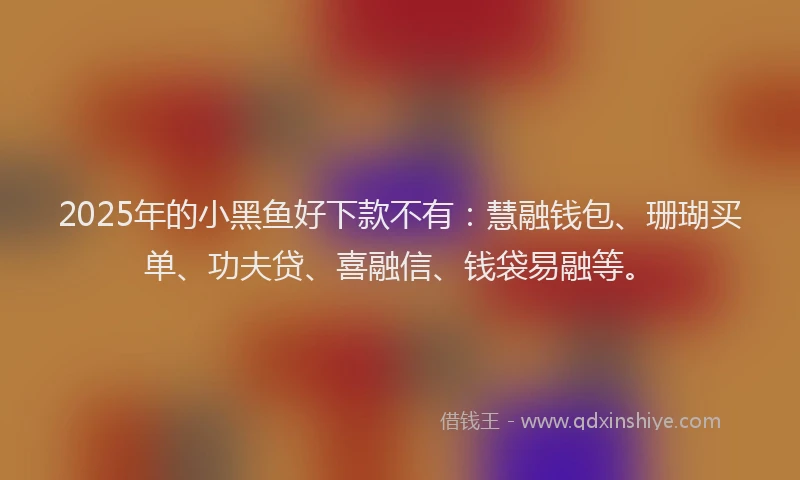 2025年的小黑鱼好下款不有：慧融钱包、珊瑚买单、功夫贷、喜融信、钱袋易融等。