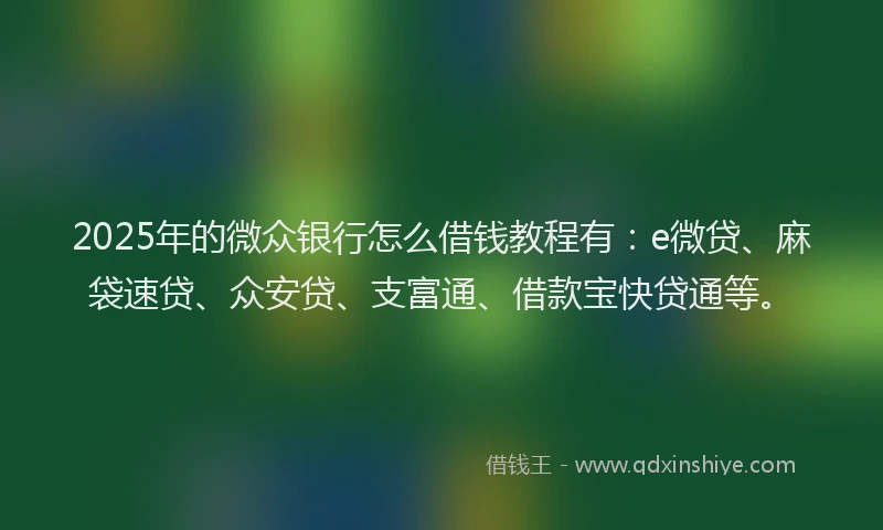 2025年的微众银行怎么借钱教程有：e微贷、麻袋速贷、众安贷、支富通、借款宝快贷通等。