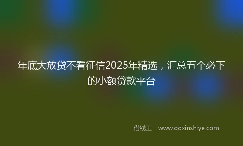 年底大放贷不看征信2025年精选，汇总五个必下的小额贷款平台