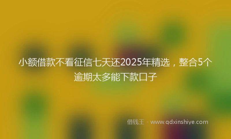 小额借款不看征信七天还2025年精选，整合5个逾期太多能下款口子