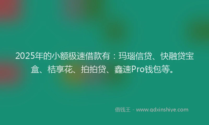 2025年的小额极速借款有：玛瑙信贷、快融贷宝盒、桔享花、拍拍贷、鑫速Pro钱包等。