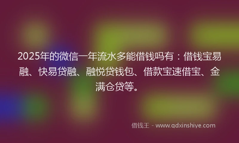 2025年的微信一年流水多能借钱吗有：借钱宝易融、快易贷融、融悦贷钱包、借款宝速借宝、金满仓贷等。