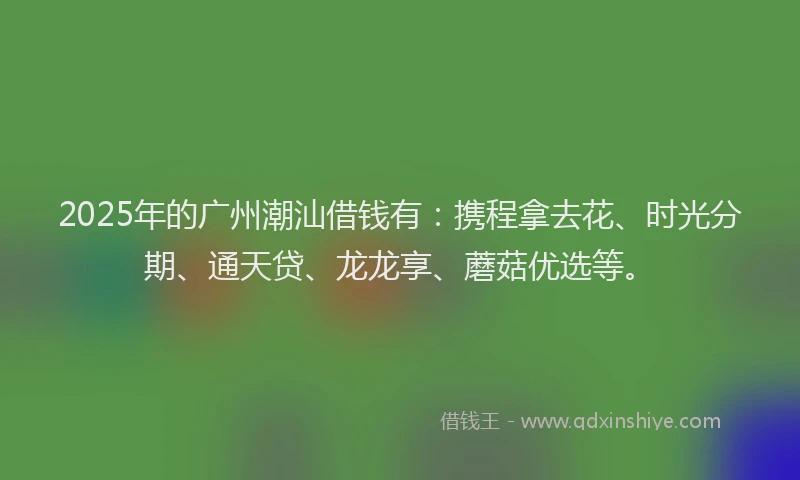 2025年的广州潮汕借钱有：携程拿去花、时光分期、通天贷、龙龙享、蘑菇优选等。