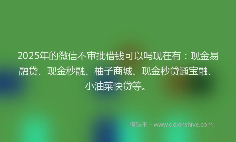 2025年的微信不审批借钱可以吗现在有：现金易融贷、现金秒融、柚子商城、现金秒贷通宝融、小油菜快贷等。