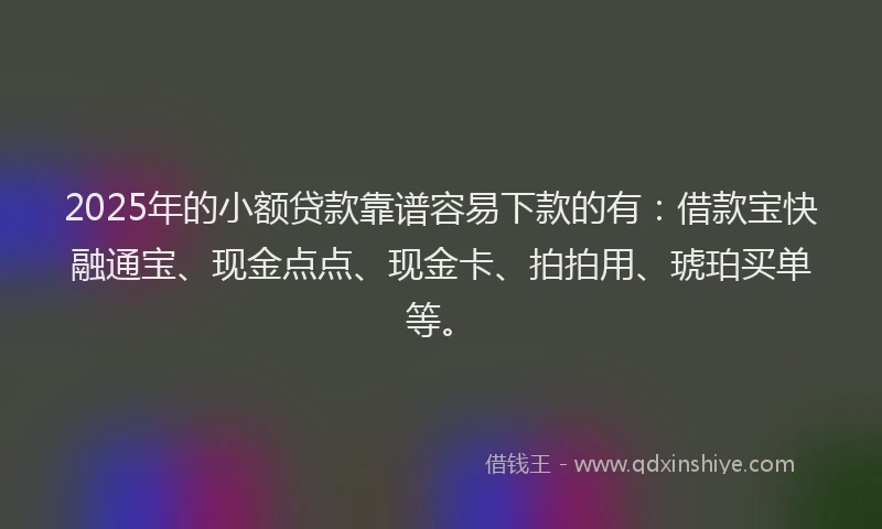 2025年的小额贷款靠谱容易下款的有：借款宝快融通宝、现金点点、现金卡、拍拍用、琥珀买单等。