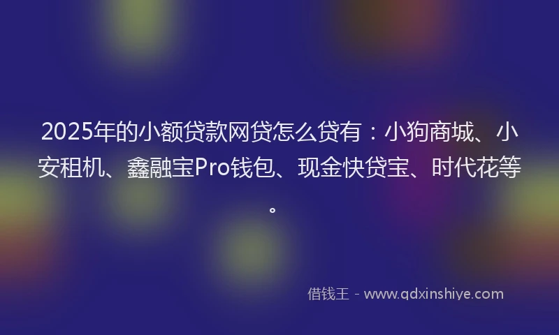 2025年的小额贷款网贷怎么贷有：小狗商城、小安租机、鑫融宝Pro钱包、现金快贷宝、时代花等。