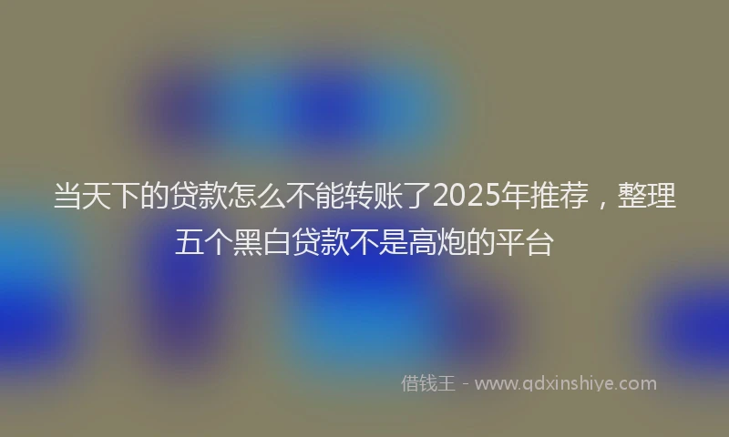 当天下的贷款怎么不能转账了2025年推荐，整理五个黑白贷款不是高炮的平台