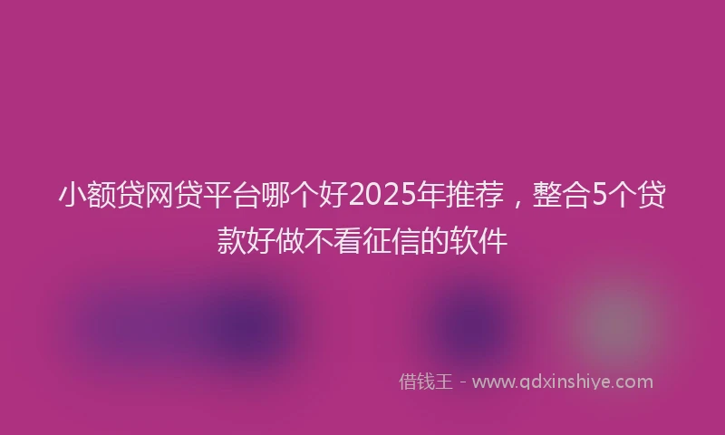 小额贷网贷平台哪个好2025年推荐，整合5个贷款好做不看征信的软件