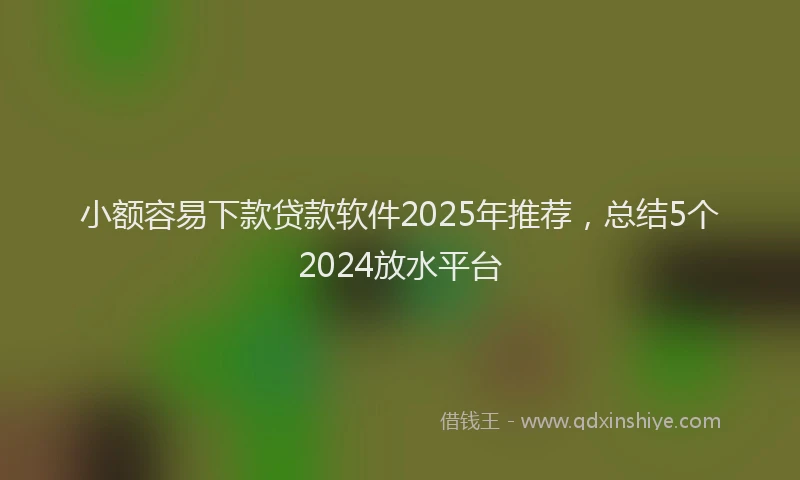 小额容易下款贷款软件2025年推荐，总结5个2024放水平台