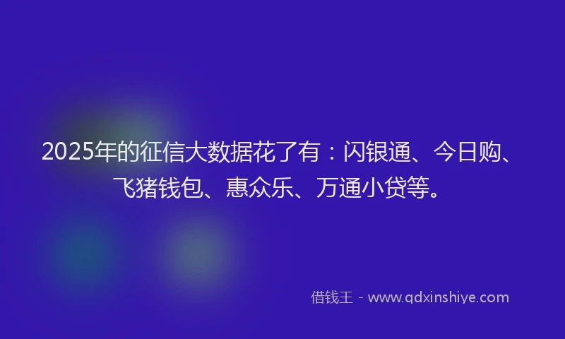 2025年的征信大数据花了有：闪银通、今日购、飞猪钱包、惠众乐、万通小贷等。