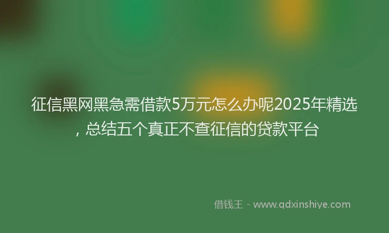 征信黑网黑急需借款5万元怎么办呢2025年精选，总结五个真正不查征信的贷款平台
