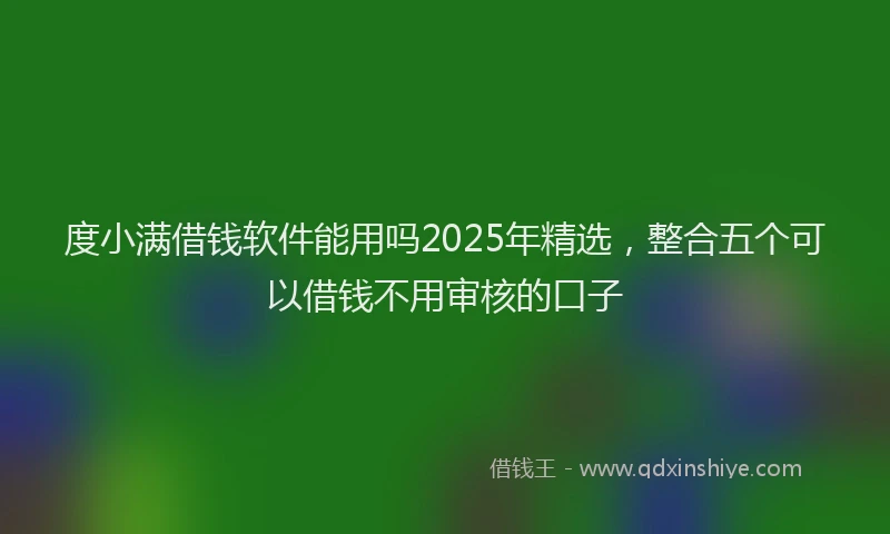 度小满借钱软件能用吗2025年精选，整合五个可以借钱不用审核的口子