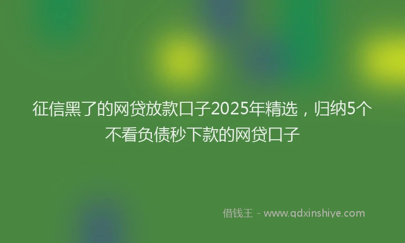 征信黑了的网贷放款口子2025年精选，归纳5个不看负债秒下款的网贷口子