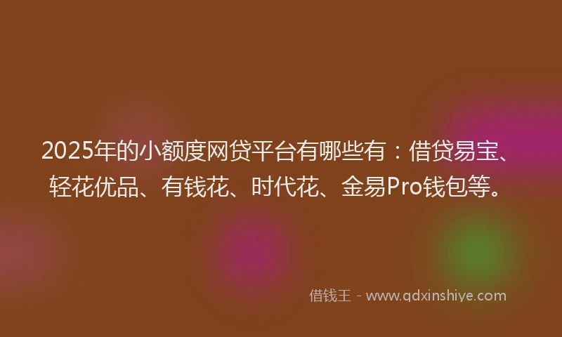 2025年的小额度网贷平台有哪些有：借贷易宝、轻花优品、有钱花、时代花、金易Pro钱包等。