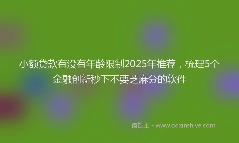 小额贷款有没有年龄限制2025年推荐，梳理5个金融创新秒下不要芝麻分的软件