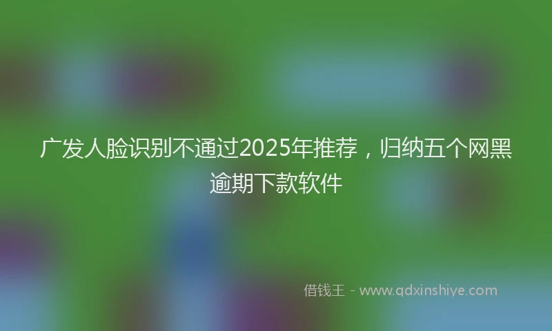 广发人脸识别不通过2025年推荐，归纳五个网黑逾期下款软件