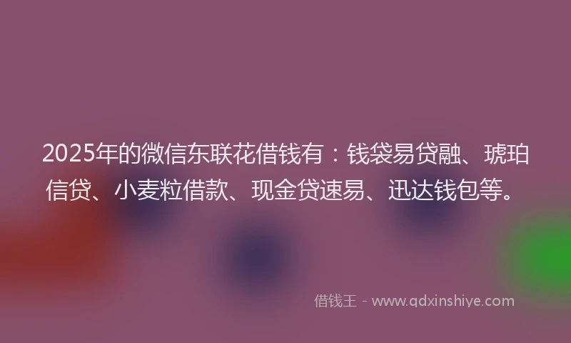 2025年的微信东联花借钱有：钱袋易贷融、琥珀信贷、小麦粒借款、现金贷速易、迅达钱包等。