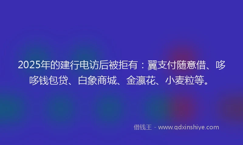 2025年的建行电访后被拒有：翼支付随意借、哆哆钱包贷、白象商城、金瀛花、小麦粒等。