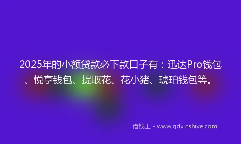 2025年的小额贷款必下款口子有：迅达Pro钱包、悦享钱包、提取花、花小猪、琥珀钱包等。