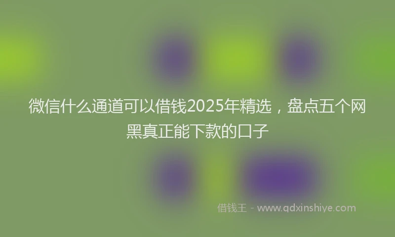 微信什么通道可以借钱2025年精选，盘点五个网黑真正能下款的口子