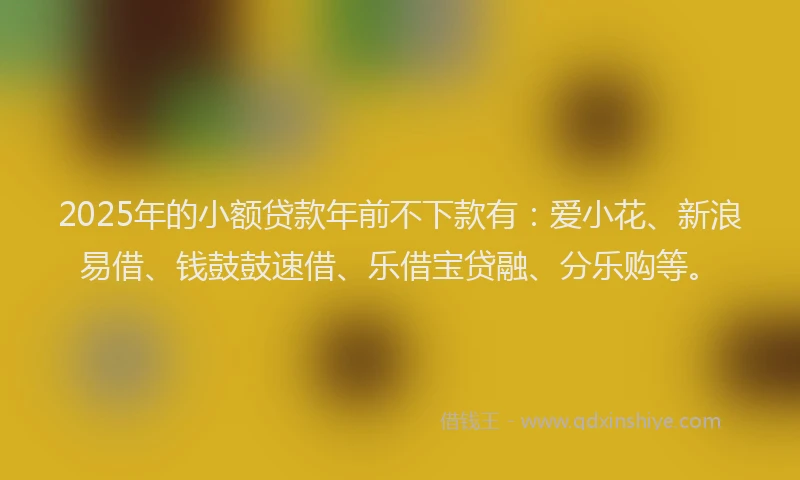 2025年的小额贷款年前不下款有：爱小花、新浪易借、钱鼓鼓速借、乐借宝贷融、分乐购等。