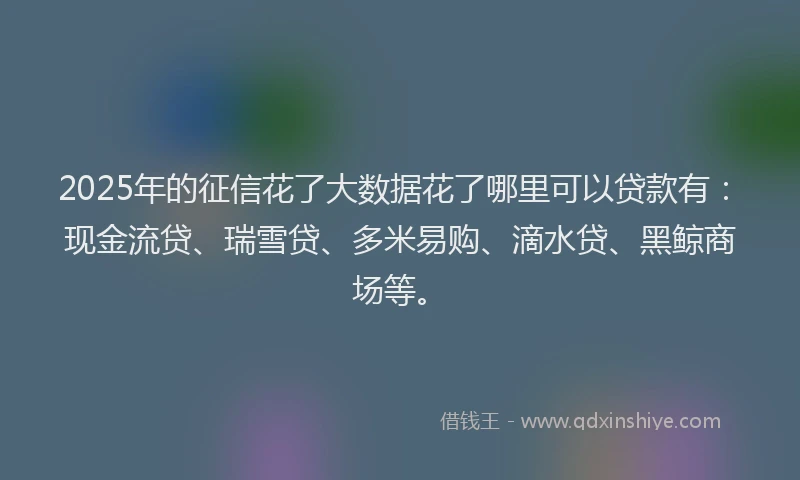2025年的征信花了大数据花了哪里可以贷款有：现金流贷、瑞雪贷、多米易购、滴水贷、黑鲸商场等。