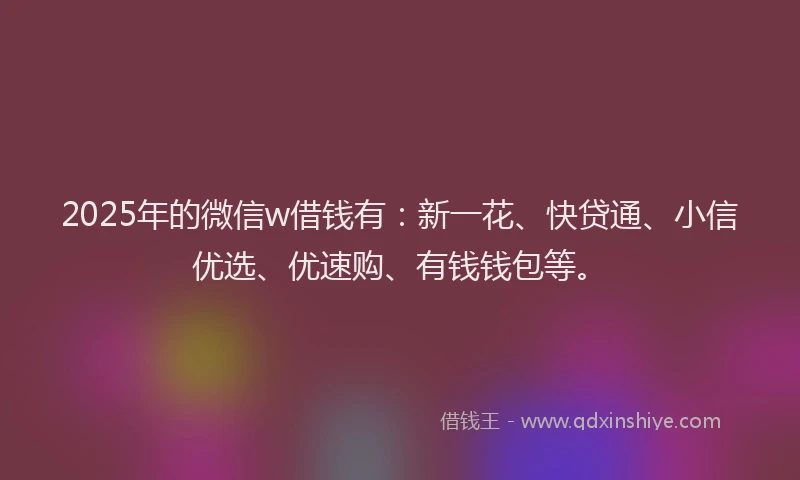 2025年的微信w借钱有：新一花、快贷通、小信优选、优速购、有钱钱包等。