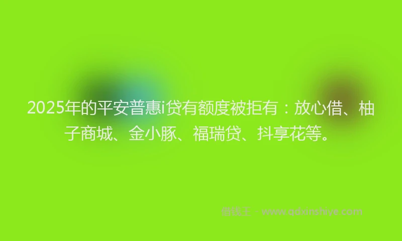 2025年的平安普惠i贷有额度被拒有：放心借、柚子商城、金小豚、福瑞贷、抖享花等。